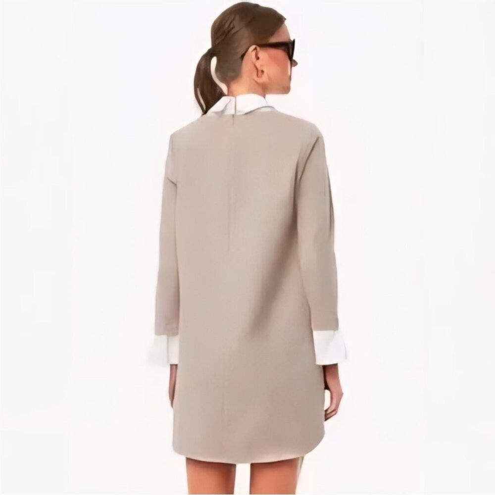NWT Tuckernuck Dress Dakotah English Ivy Collar Mini in Sandwhisp - Picture 4 of 10